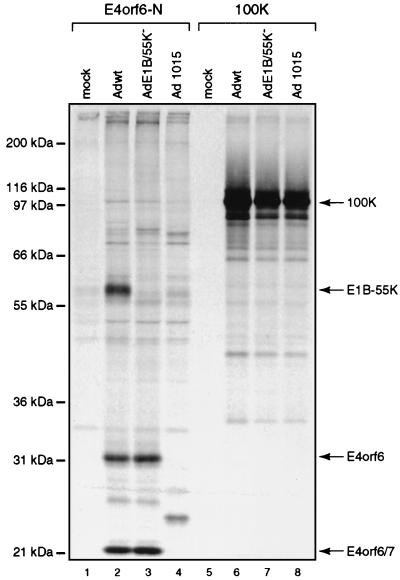 FIG. 7