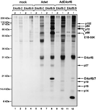 FIG. 5