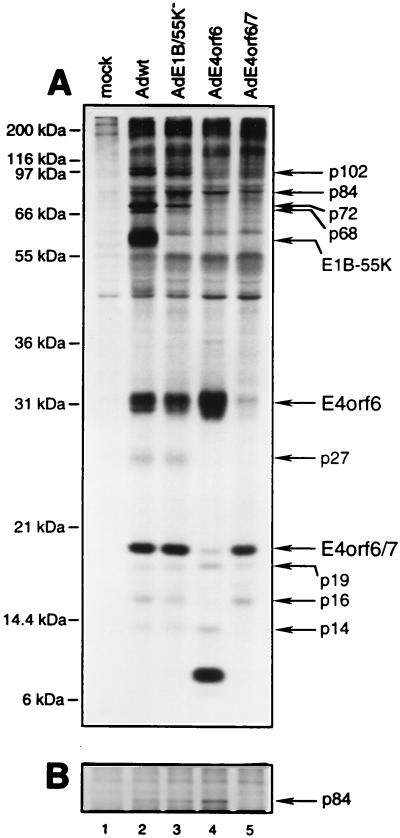 FIG. 6