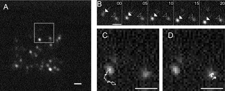 Figure 10.