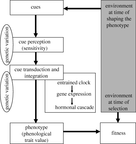 Figure 3.