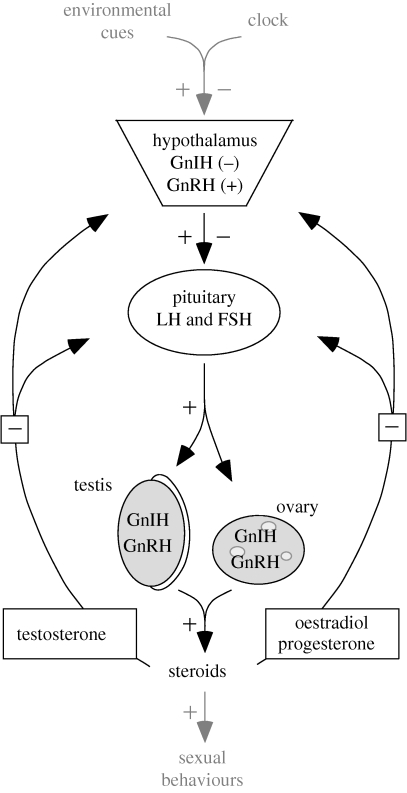 Figure 2.