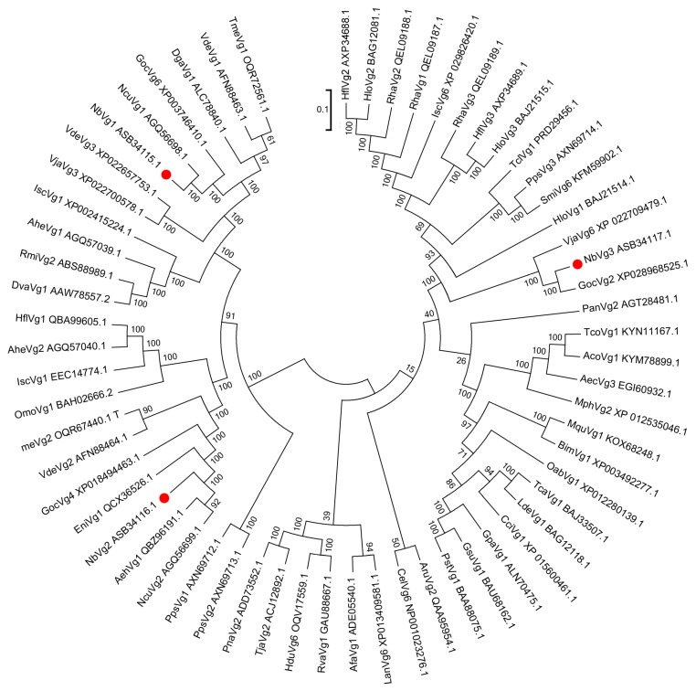 Figure 6