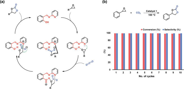 Fig. 8