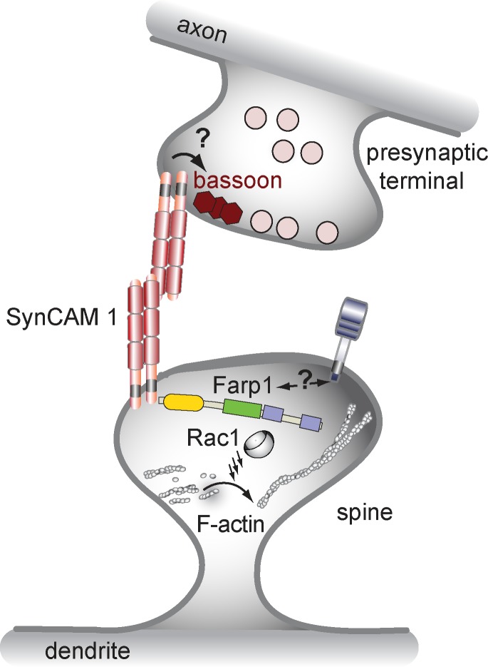 Figure 9.