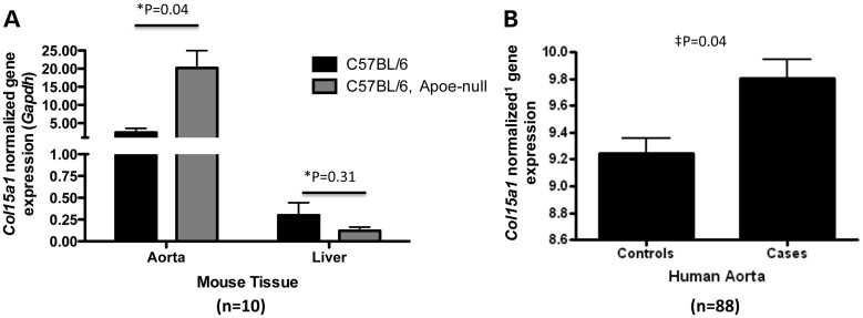 Figure 4.