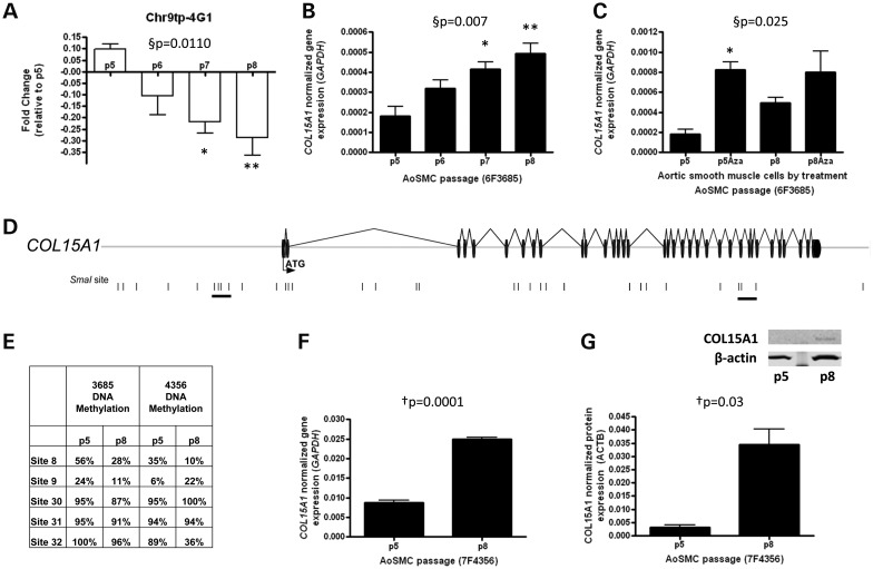 Figure 2.