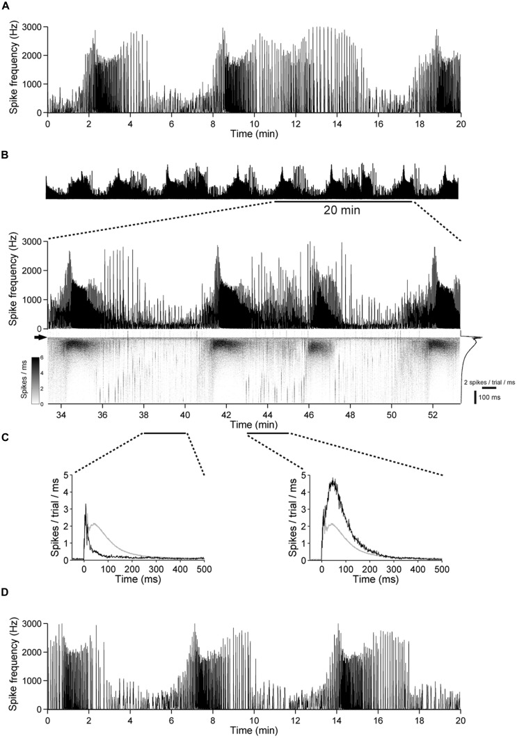 FIGURE 10