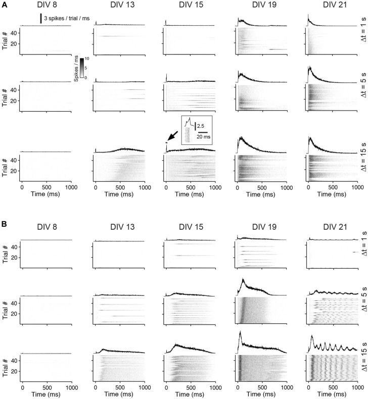 FIGURE 4