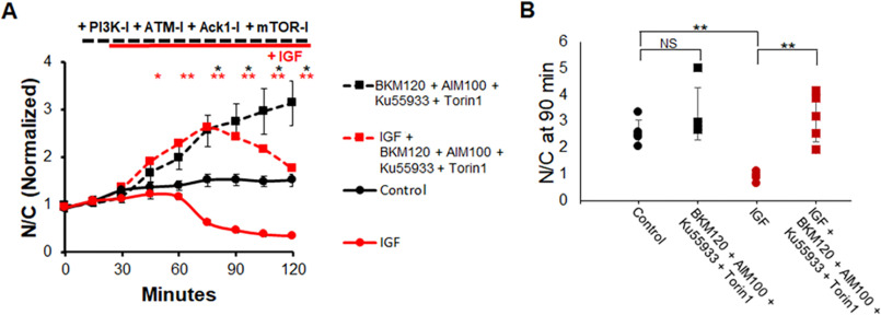 Figure 11.