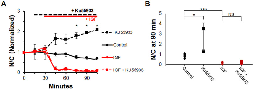 Figure 10.