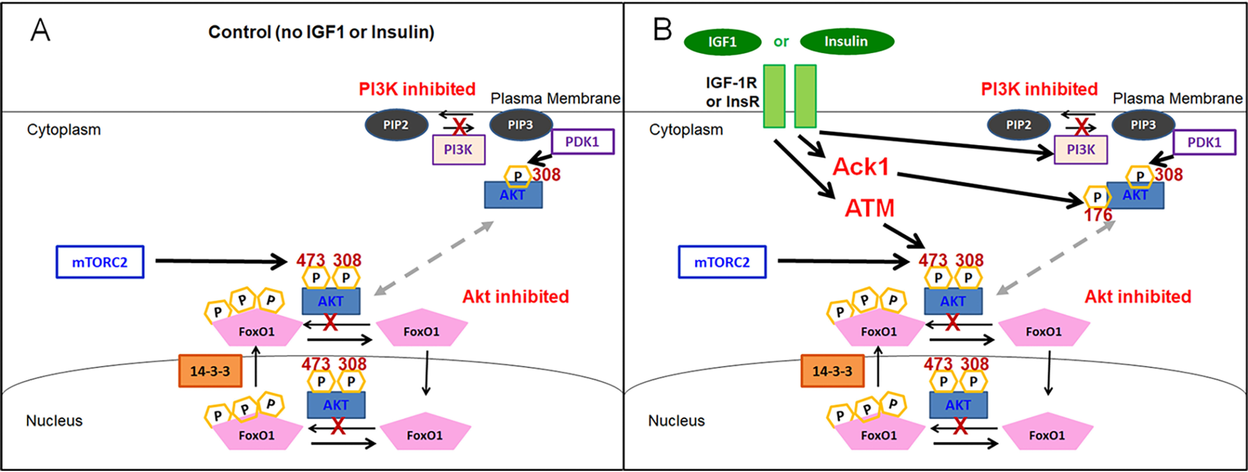 Figure 12.