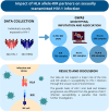 Graphical abstract