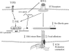 FIG. 10.