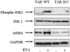FIG. 7.