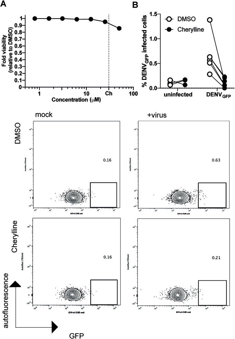 FIG 6