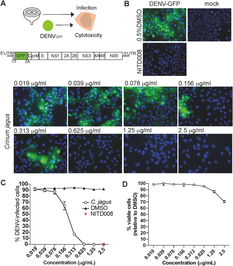 FIG 1