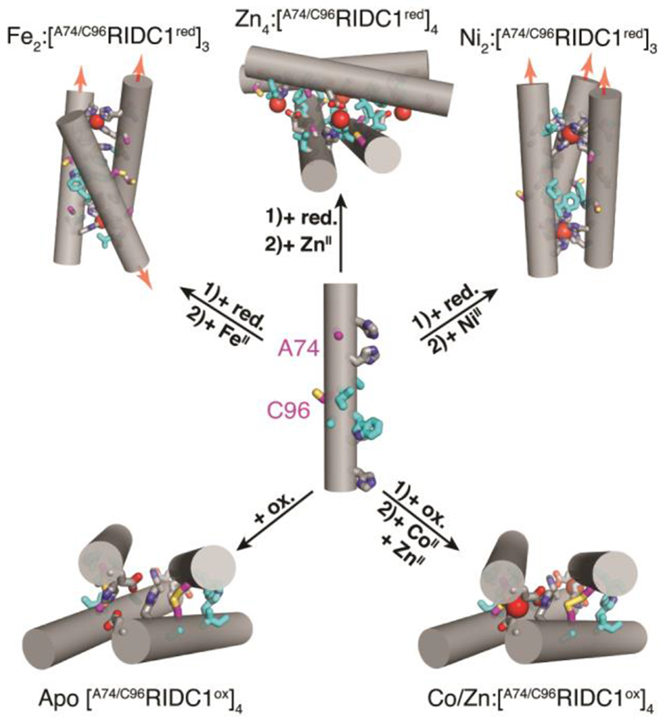 Fig. 2.