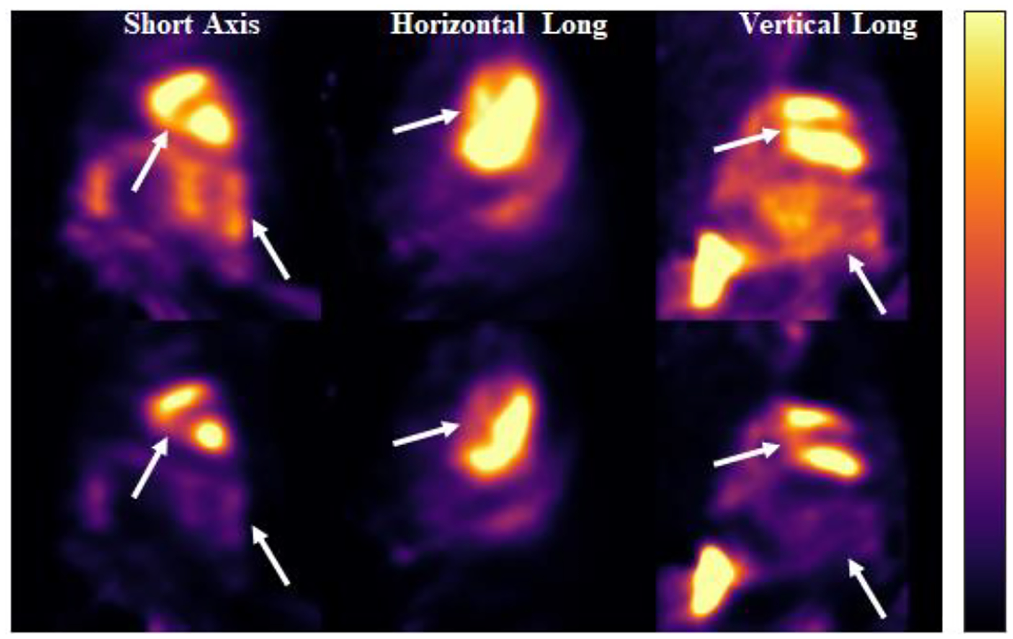 Fig. 13: