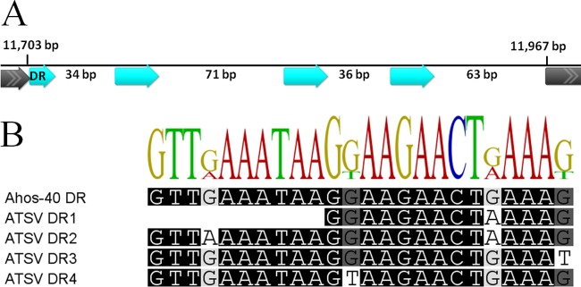 FIG 4