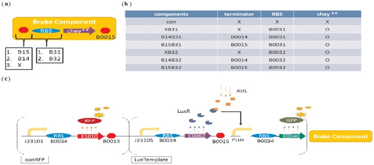 Fig 3