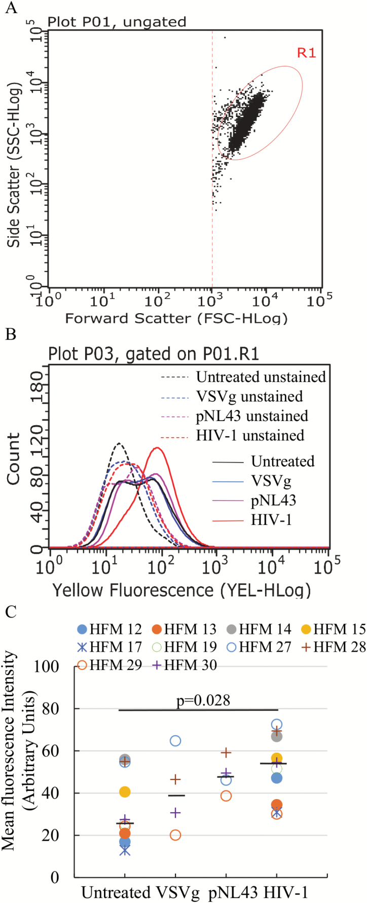 Figure 2.