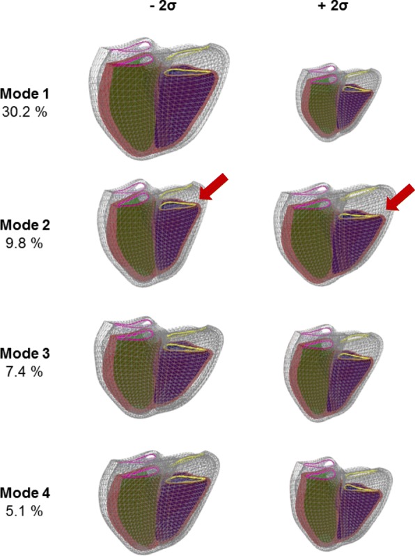 Fig. 4