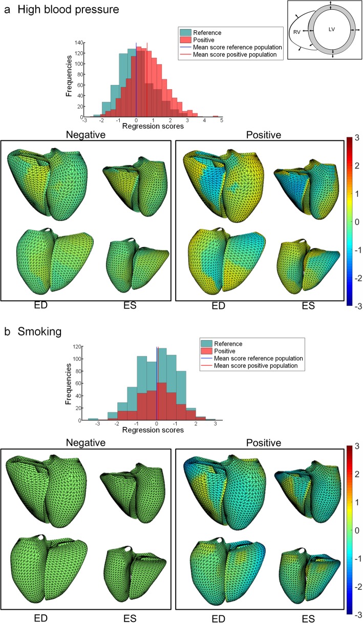 Fig. 7