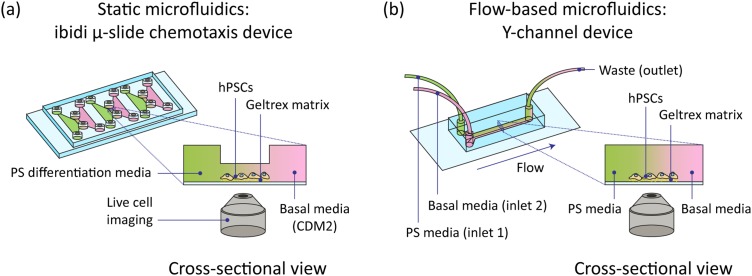 FIG. 1.