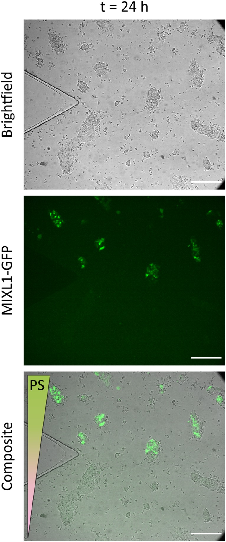 FIG. 7.