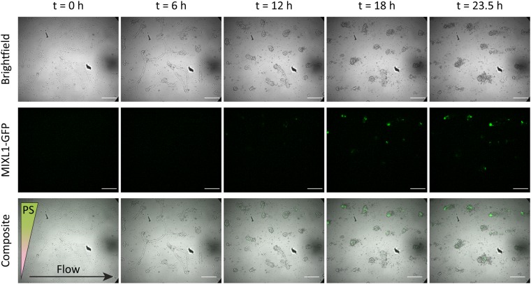 FIG. 6.