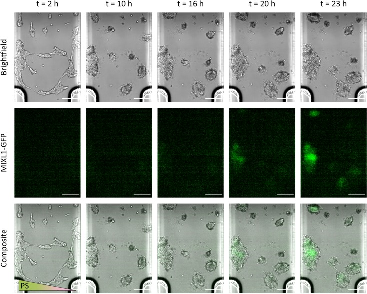 FIG. 3.