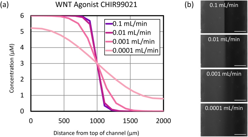 FIG. 4.