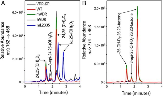 Figure 5.