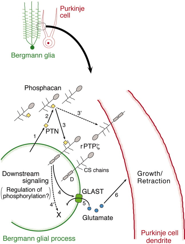 Fig. 9.