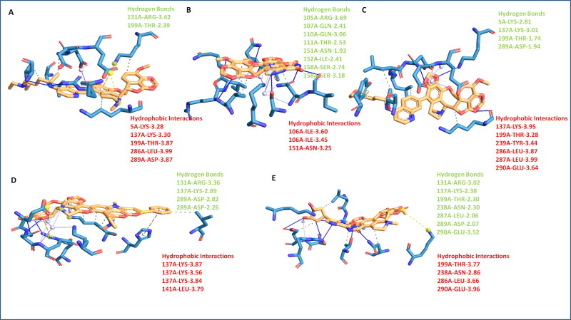 Figure 4.