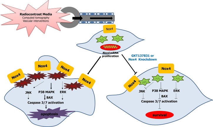 Fig 10