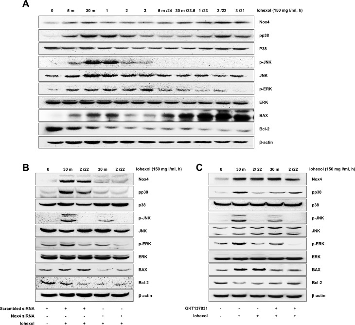 Fig 5