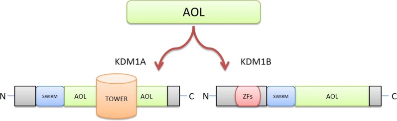 Fig. 2