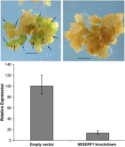 Figure 10.