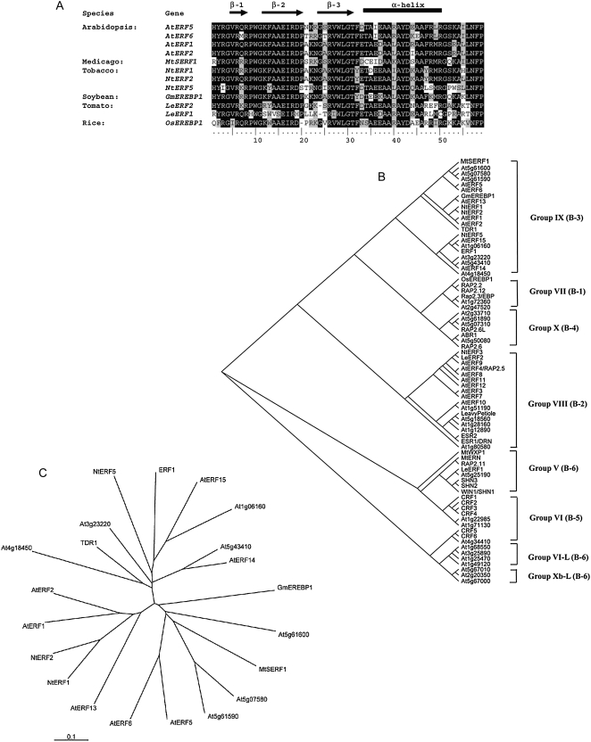 Figure 11.