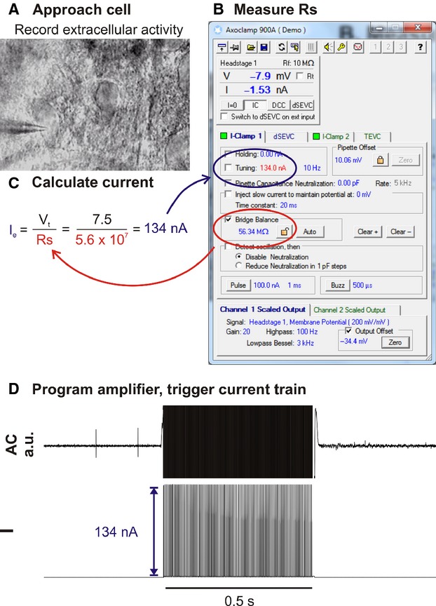 Figure 1.