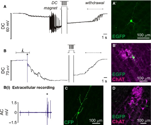 Figure 6.