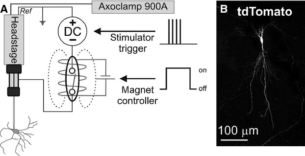 Figure 3.