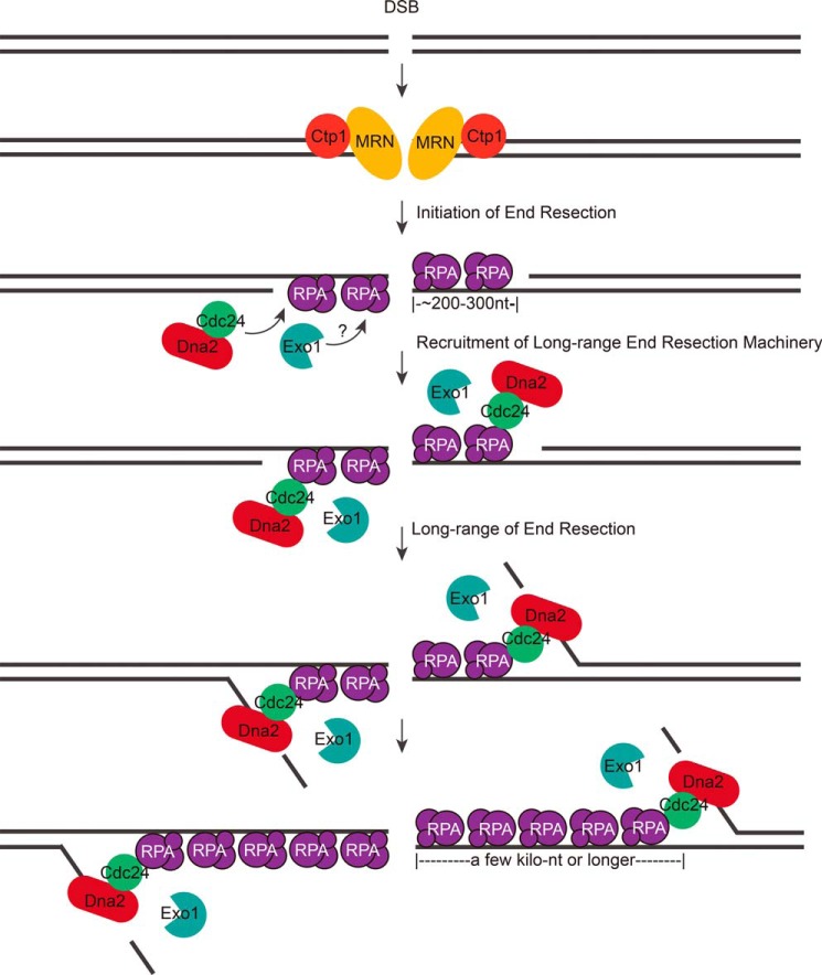 FIGURE 9.