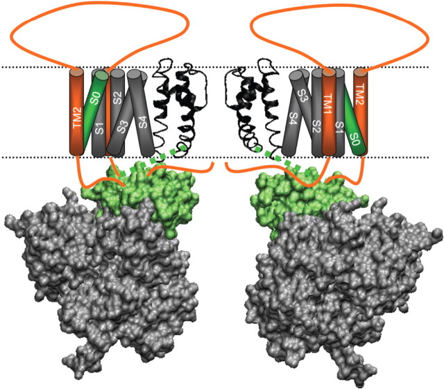 Figure 9.