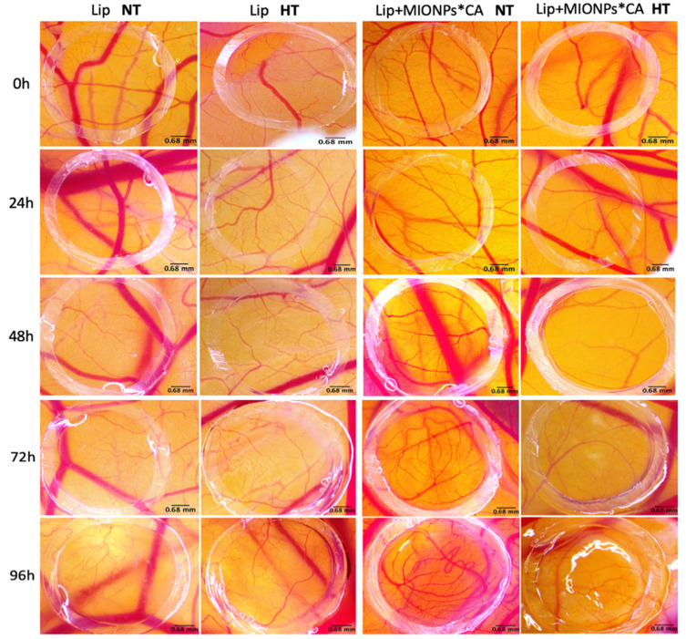 Figure 10