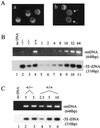 FIG. 4