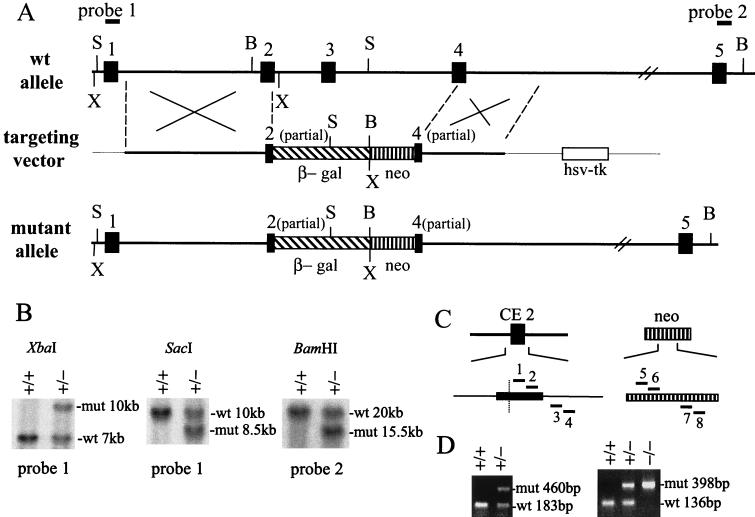 FIG. 1