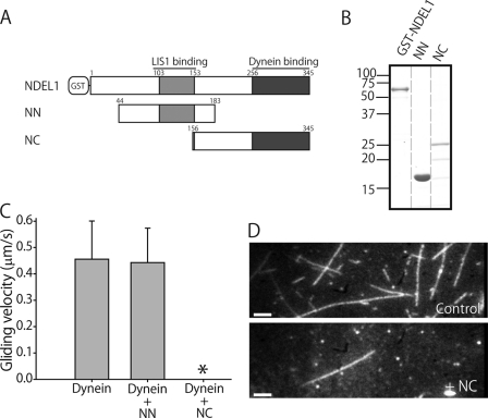 FIGURE 1.